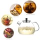 Ecooe 1500ml / 53oz Stovetop Glass Teapot