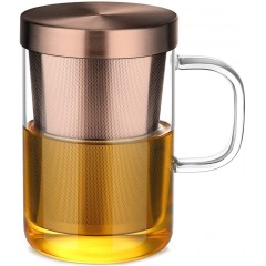 Ecooe 500ml(volle Kapazität) Glas Tasse mit Bronze Edelstahl sieb und Deckel Teeglas Teebecher aus Borosilikat Teetasse
