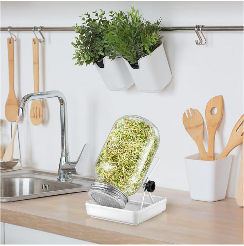 ecooe Sprossen Keimglas 1er Set keimgläser