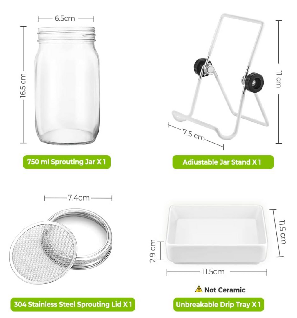 ecooe Sprossen Keimglas 1er Set keimgläser