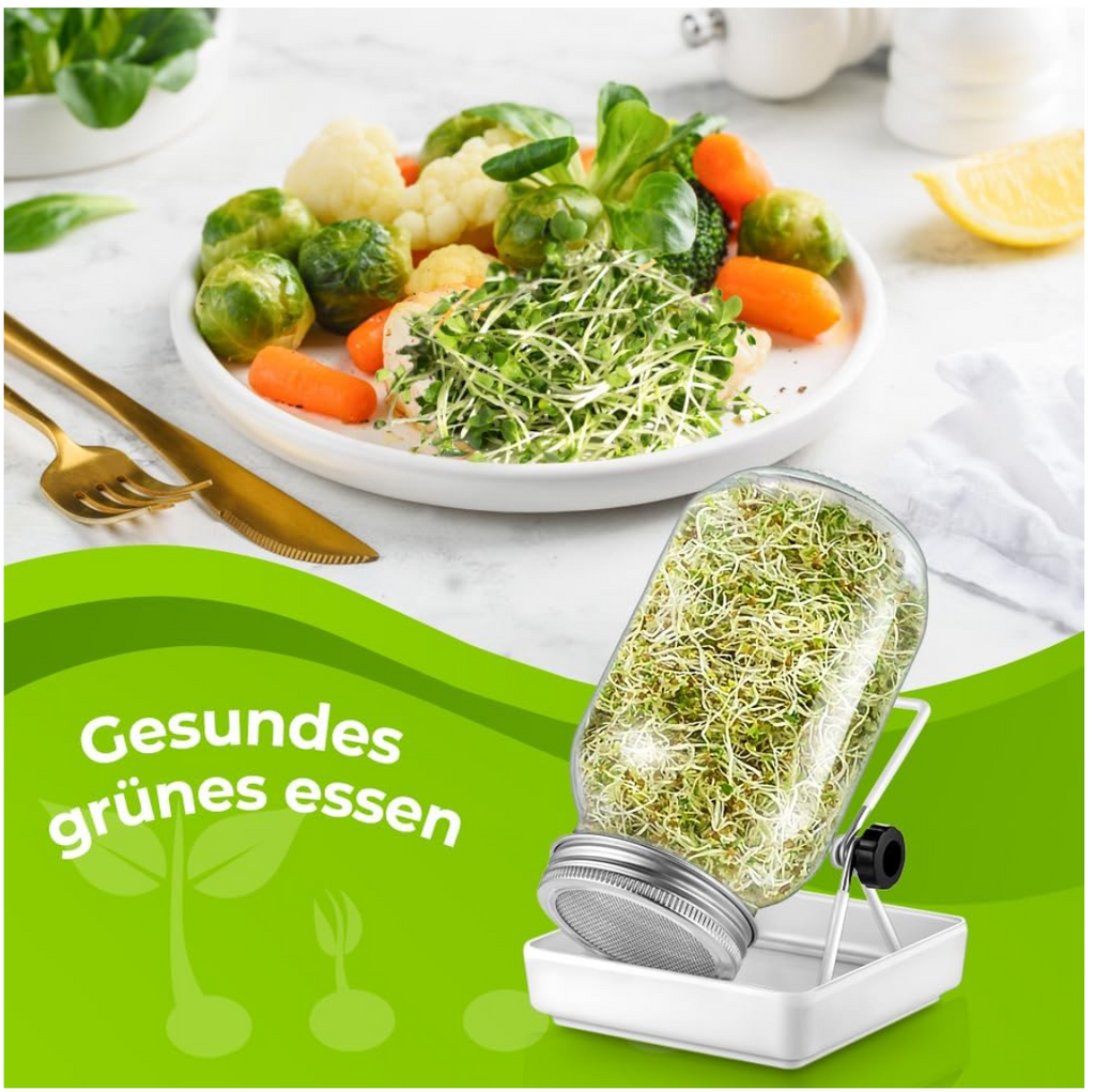 ecooe Sprossen Keimglas 1er Set keimgläser