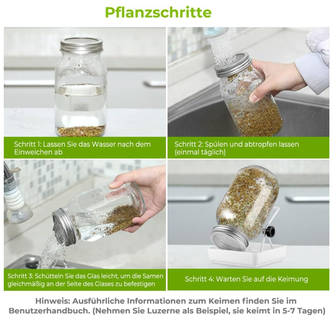 ecooe Sprossen Keimglas 1er Set keimgläser