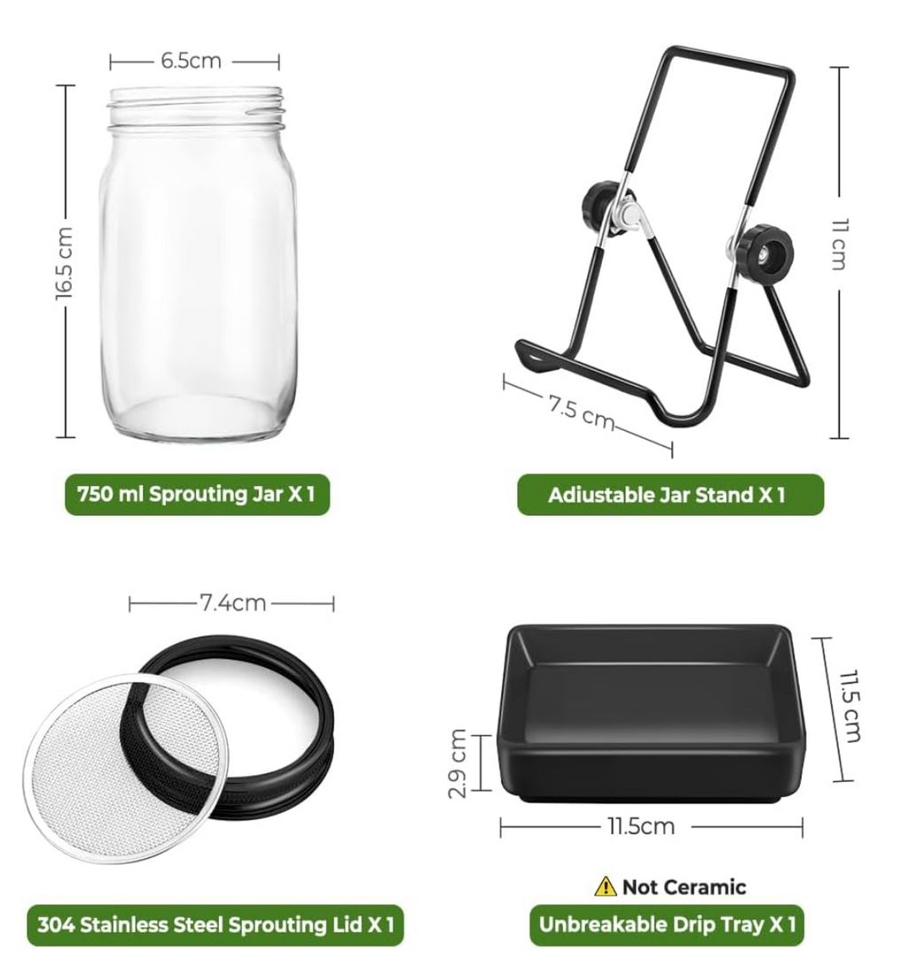 ecooe Sprossen Keimglas 1er Set keimgläser