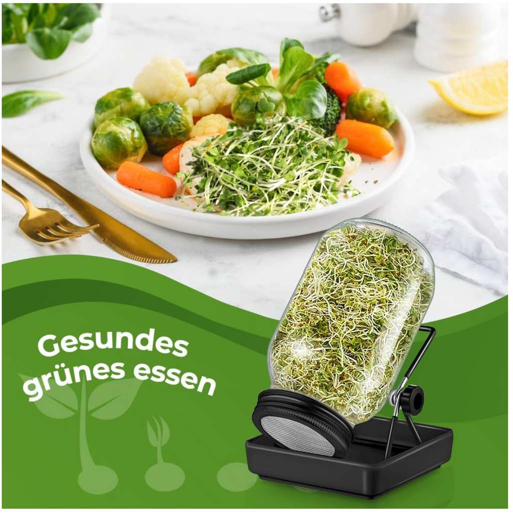 ecooe Sprossen Keimglas 1er Set keimgläser