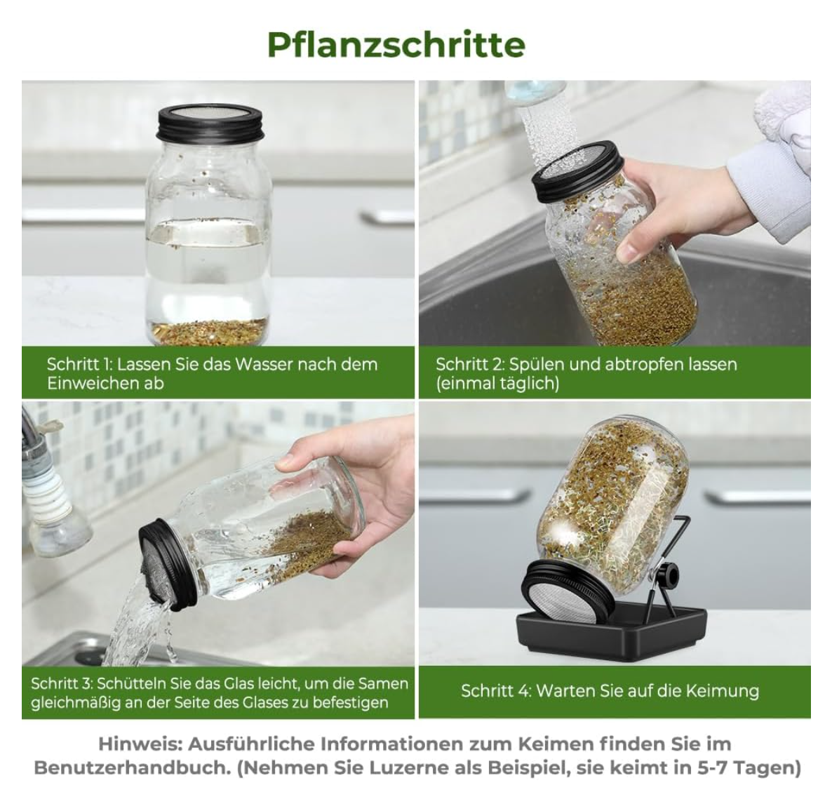 ecooe Sprossen Keimglas 1er Set keimgläser