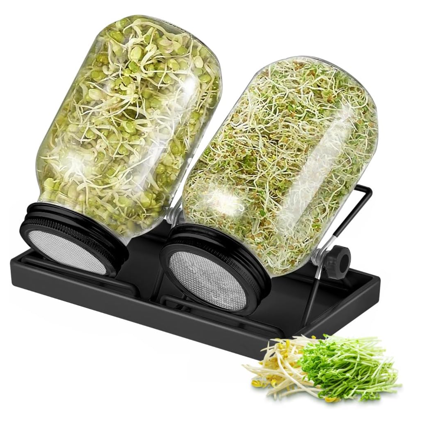 ecooe Sprossen Keimglas 2er Set
