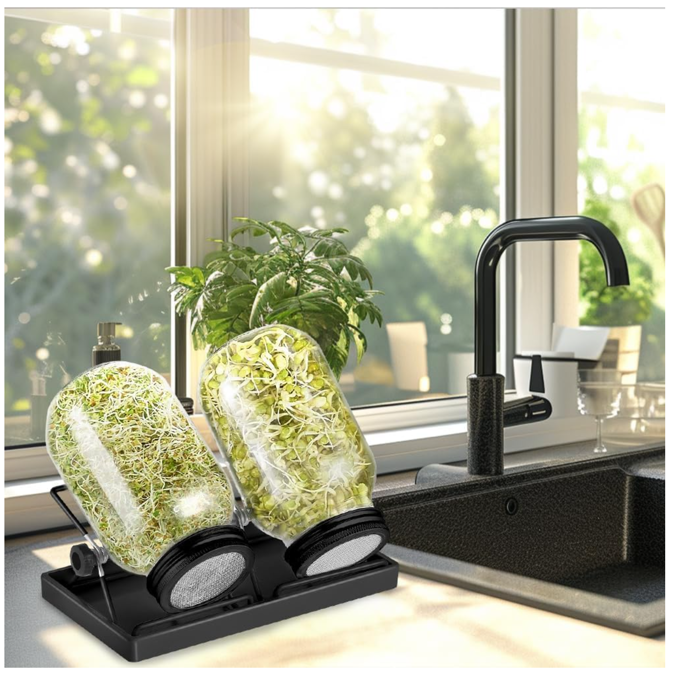 ecooe Sprossen Keimglas 2er Set