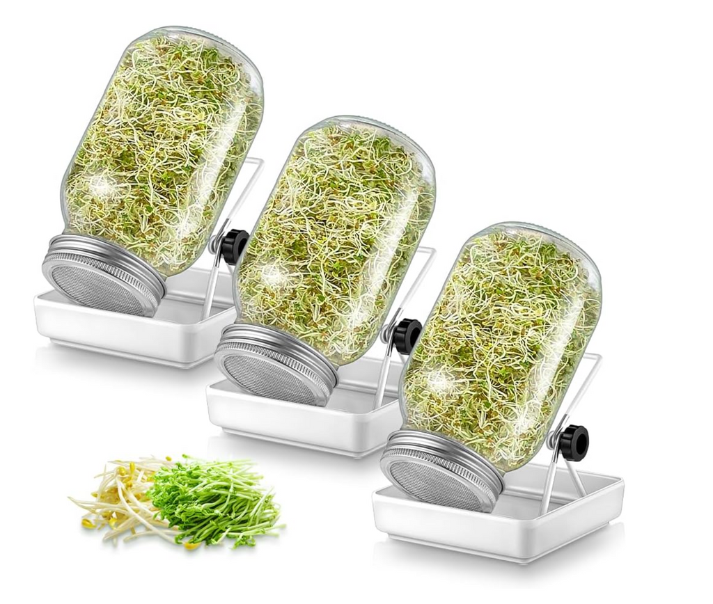 ecooe Sprossen Keimglas 3er Set