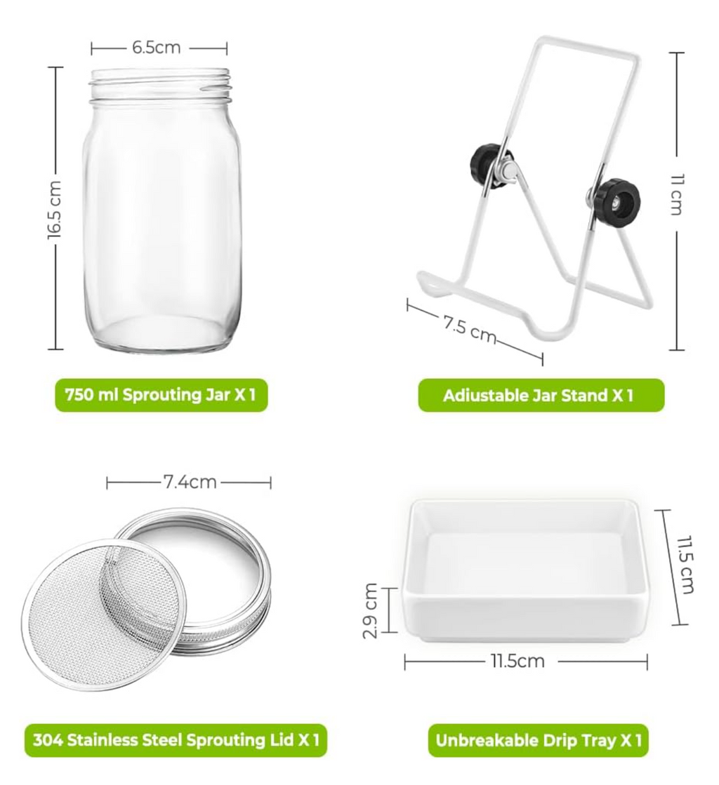 ecooe Sprossen Keimglas 3er Set