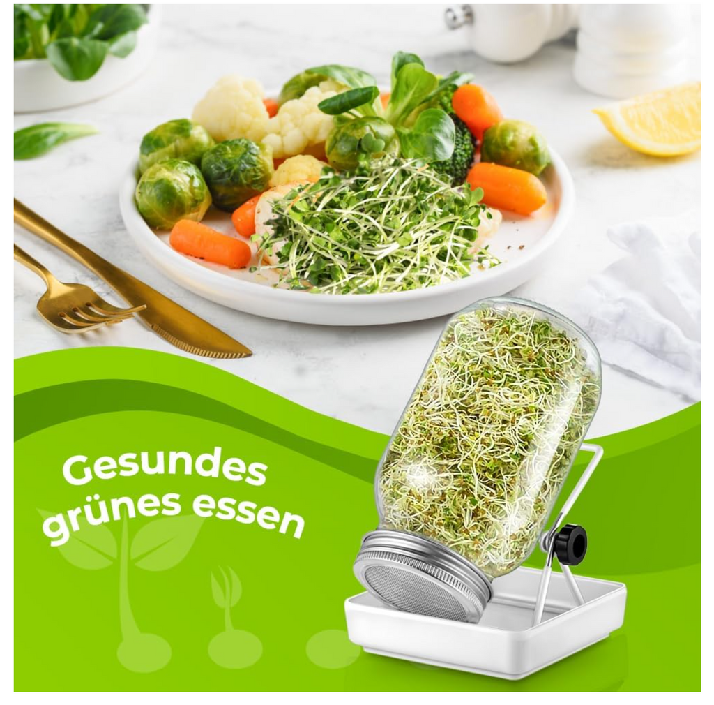 ecooe Sprossen Keimglas 3er Set