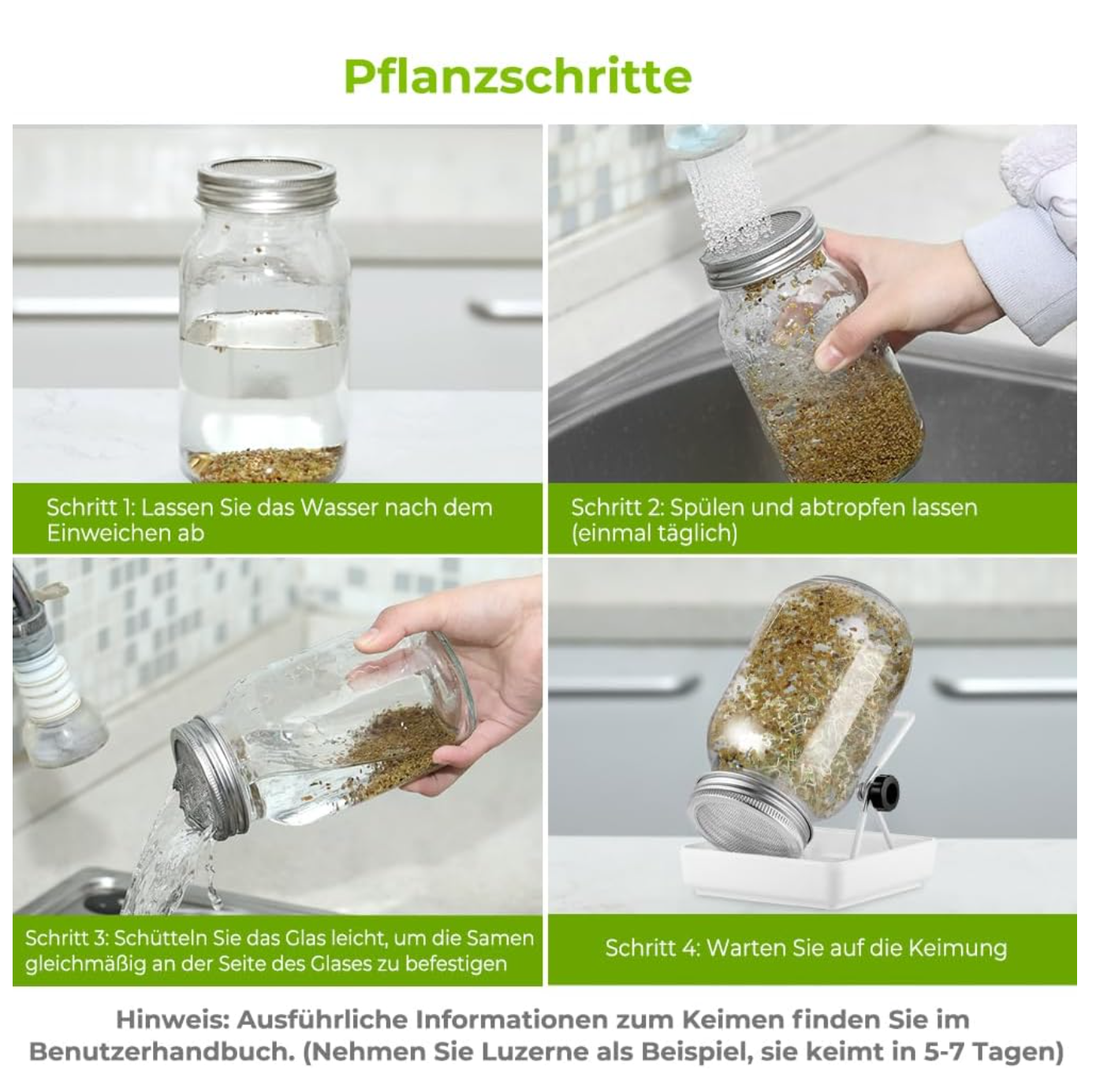 ecooe Sprossen Keimglas 3er Set