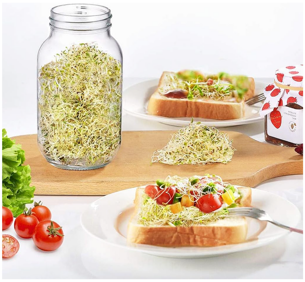 ecooe Sprossen Keimglas 2er Set