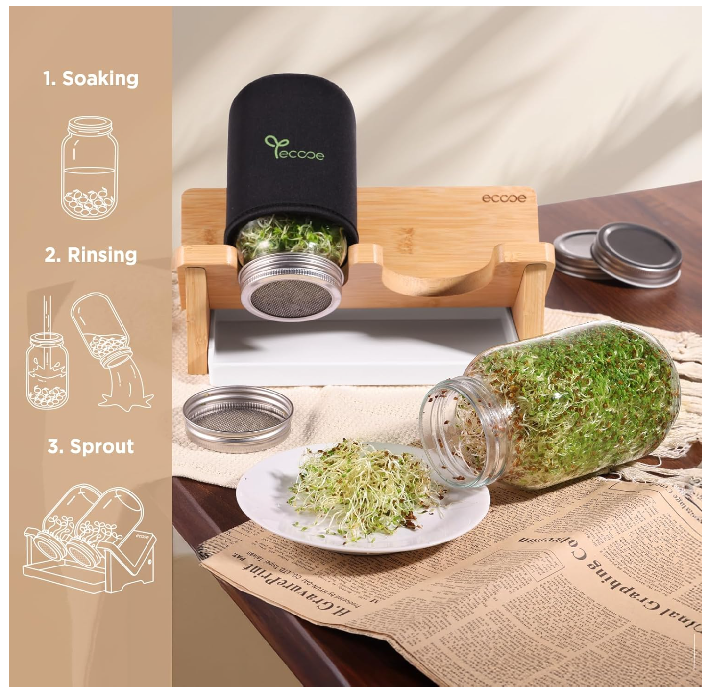 ecooe Sprossen Keimglas 2er Set