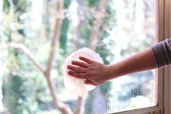 Coffee Filter Can Clean Glass 