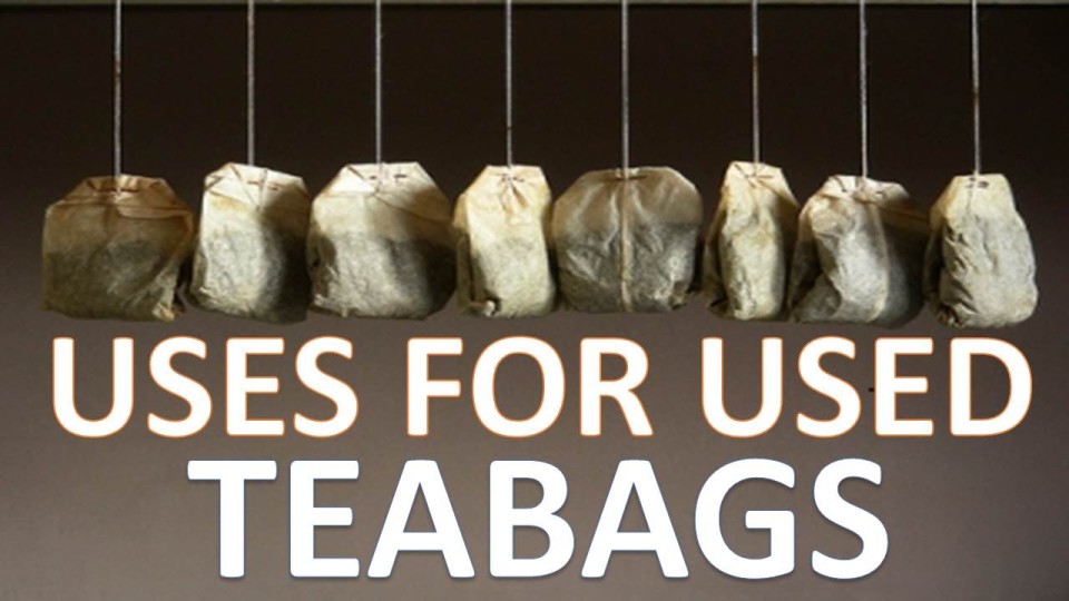 What to Do with Used Tea Bags