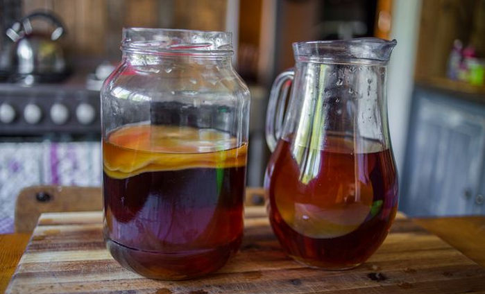 kombucha tea