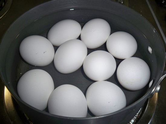 boil eggs in cold water