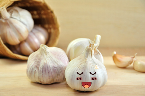 is chewing raw garlic good for you is chewing raw garlic good for you