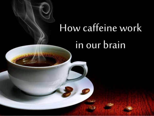 how caffeine work in your brain