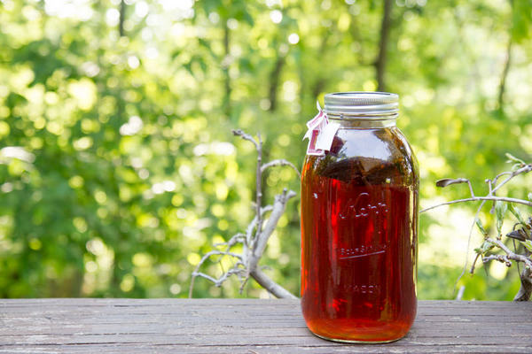 sun tea