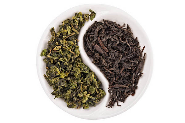 Differences Between Green Tea and Black Tea