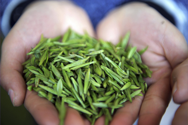 green tea leaves