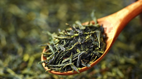 Loose-leaf green tea of the modern variety. Archaeologists have discovered ancient tea in the tomb of a Chinese emperor who died in 141 B.C. It's the oldest known physical evidence of tea. But scientists aren't sure if the emperor was drinking tea as we know it or using it as medicine.