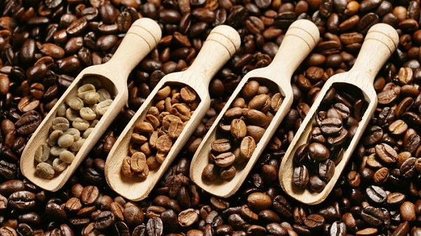Assorted coffee beans