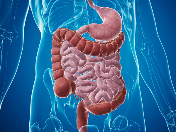 Why-Shouldnt-You-Take-Shower-After-Eating-2