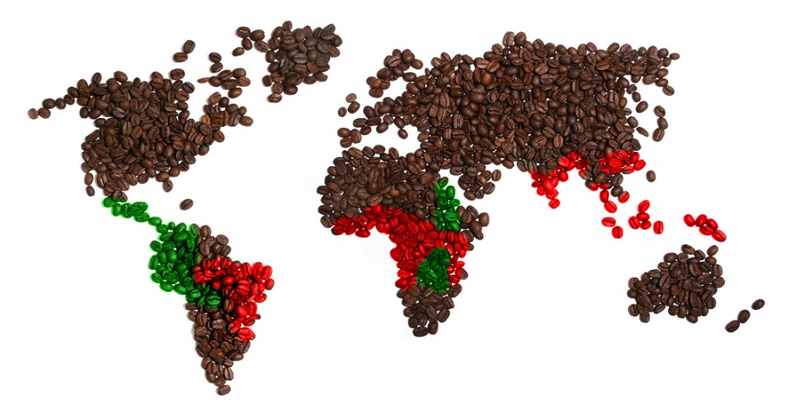 The right ways of choosing coffee beans to make coffee2