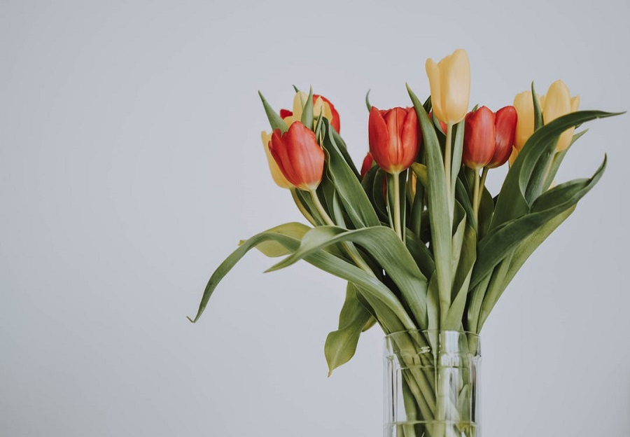 Tricks to Keep Your Flowers Fresh Longer1