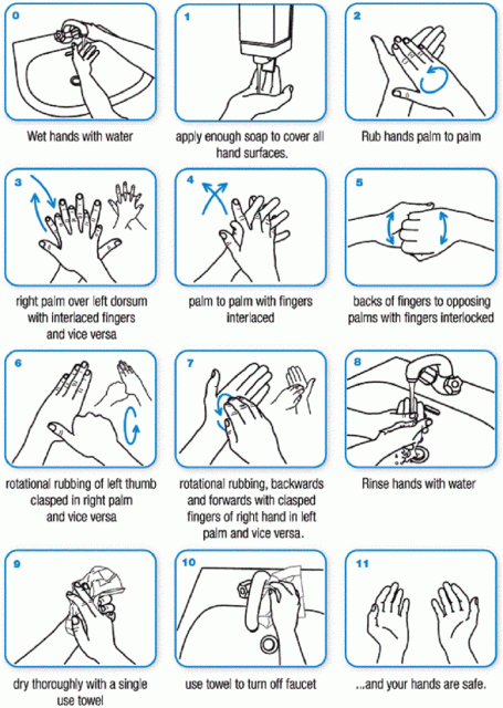 How to wash your hands properly3