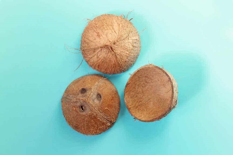 how to crack open a coconut easily-2