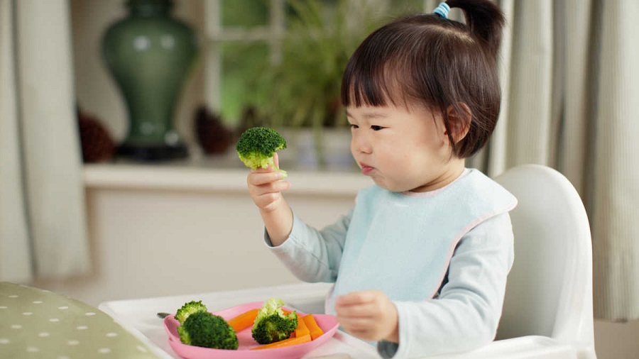what to do if your toddler won't eat-4