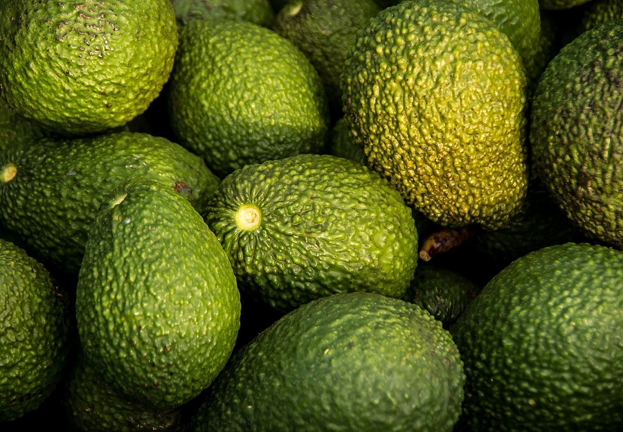 What are the Benefits of Eating Avocado3